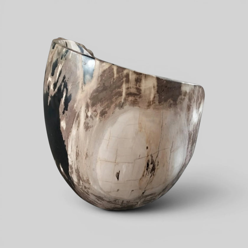 Back profile view of the Black and White Crystalline Petrified Wood Accent Chair showcasing the dramatic natural fossilized mineral grain from Senja Living.