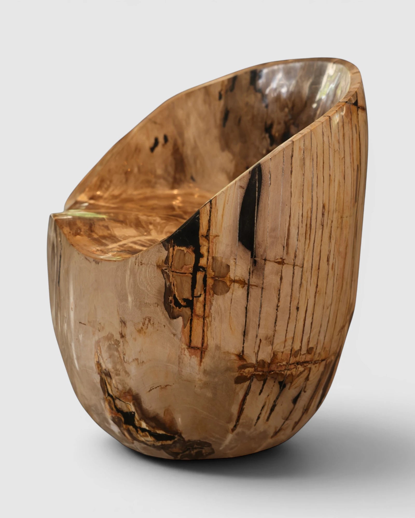 Hero view of the Senja petrified wood warm beige statement dining chair and accent chair showing the contrast between its warm refined organic bark exterior with remarkable dark brown and black vertical fossil streaks and highly polished scooped seat.