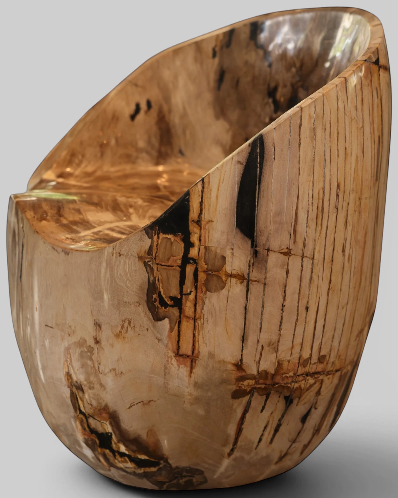 Close-up view of the Senja petrified wood beige statement dining chair and accent chair showing the contrast between its warm refined organic bark exterior with remarkable dark brown and black vertical fossil streaks and highly polished scooped seat.