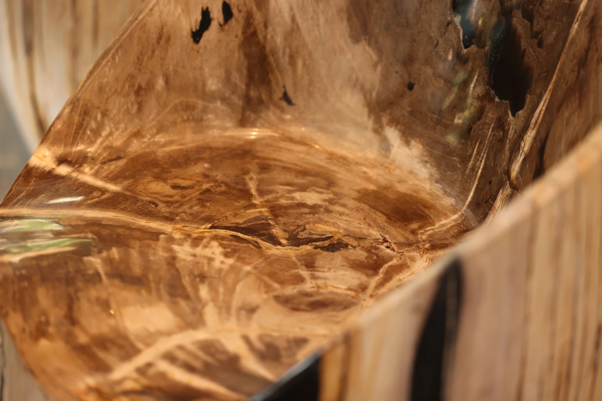 Macro close-up detail view of the Senja petrified wood beige statement dining chair and accent chair seat, highlighting the highly polished natural grain, glass-smooth surface, and intricate dark brown, amber, and black vertical fossil streaks.