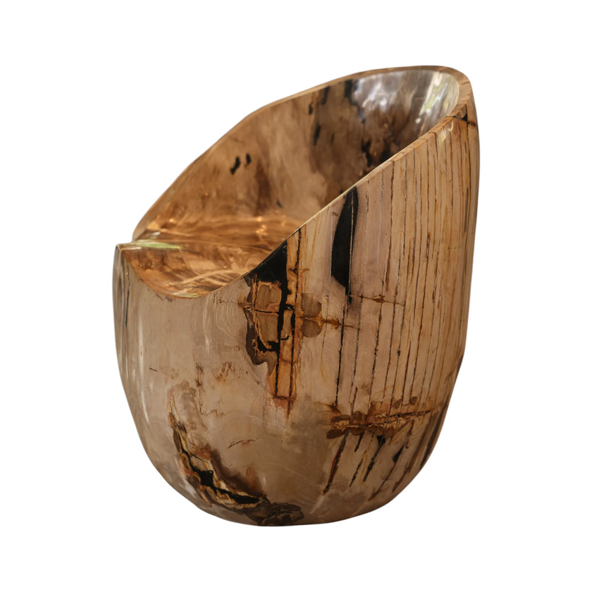 Side profile view of the Senja petrified wood beige statement dining chair and accent chair showing its highly polished natural grain deeply carved organic silhouette with striking dark brown and black vertical fossil streaks against a clean white background